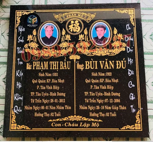 Tin tức